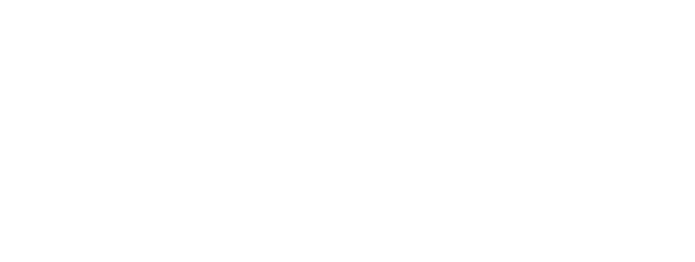 Action Airlines